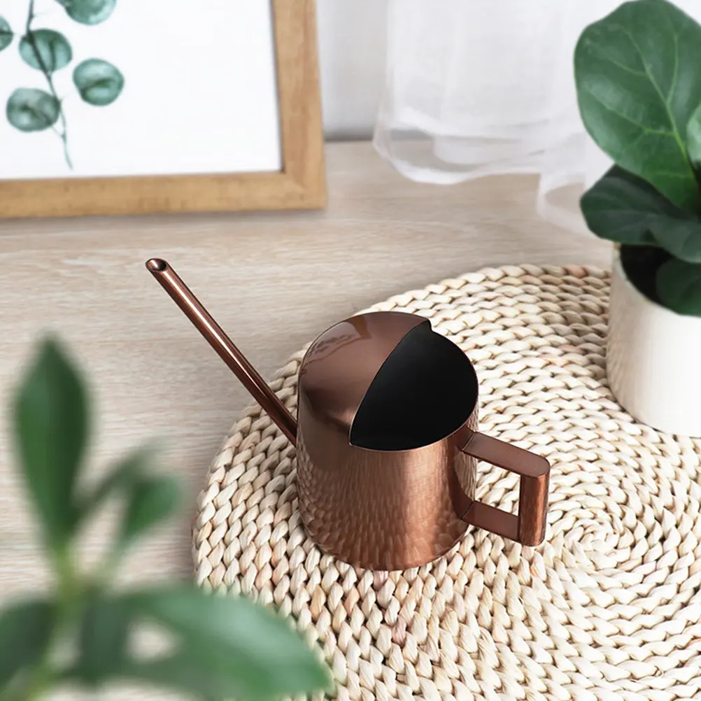 Stainless Steel Watering Can Long Spout Gardening Kettle for Indoor Outdoor Plants Succulents Bonsai Flower Watering Pot