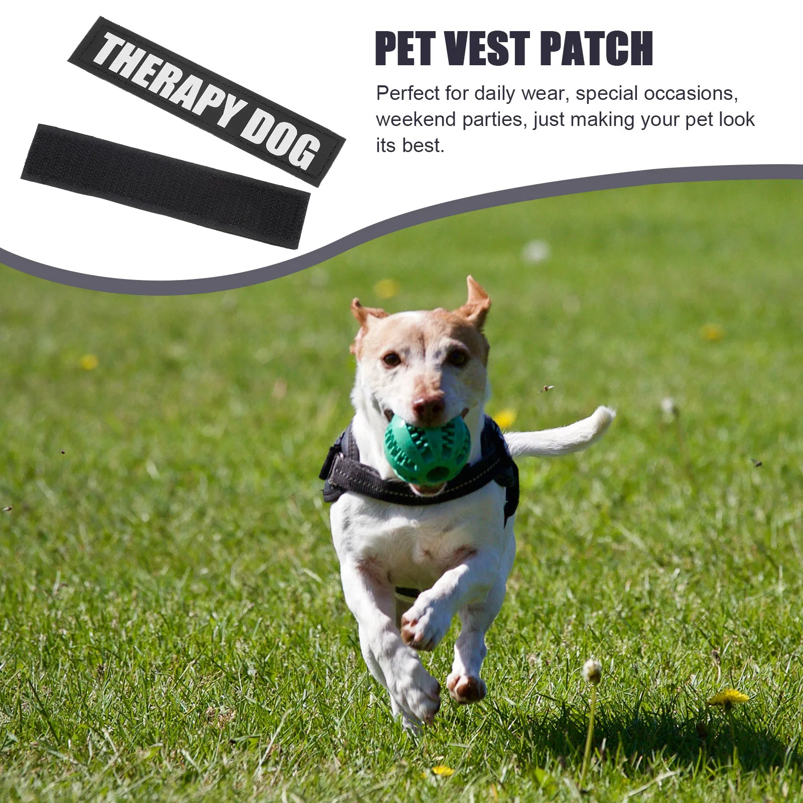 

2Pairs Reflective Dog Harness Patches Exquisitely Crafted Durable English Words Pet Supplies Dog Harness Stickers