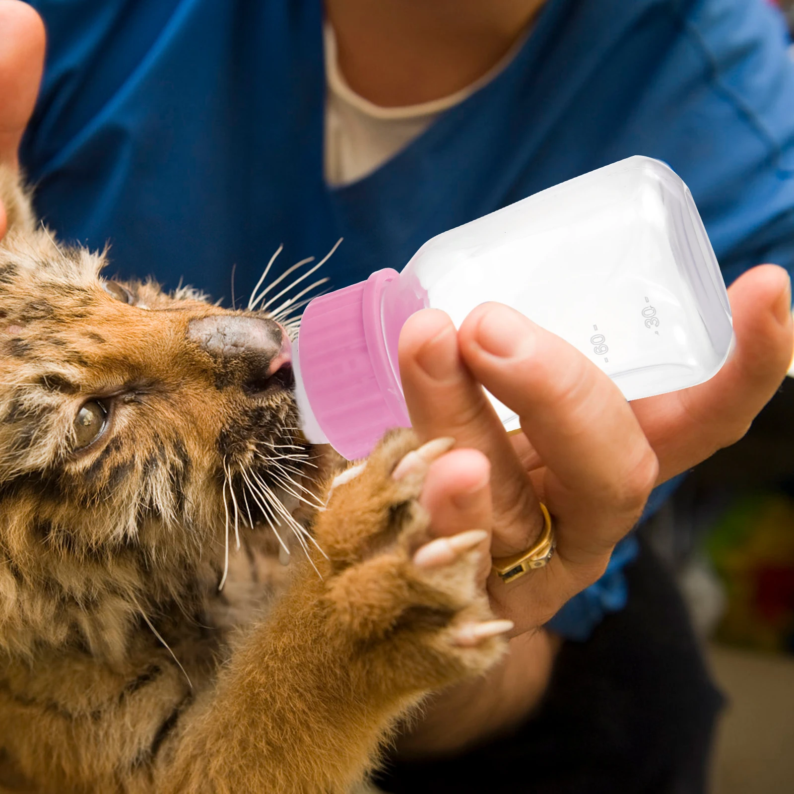 

Cat Bottle Feeder Pet Feeding Opener Feeders Breastfeeding Device Kitten Water Plastic Small Animal Portable