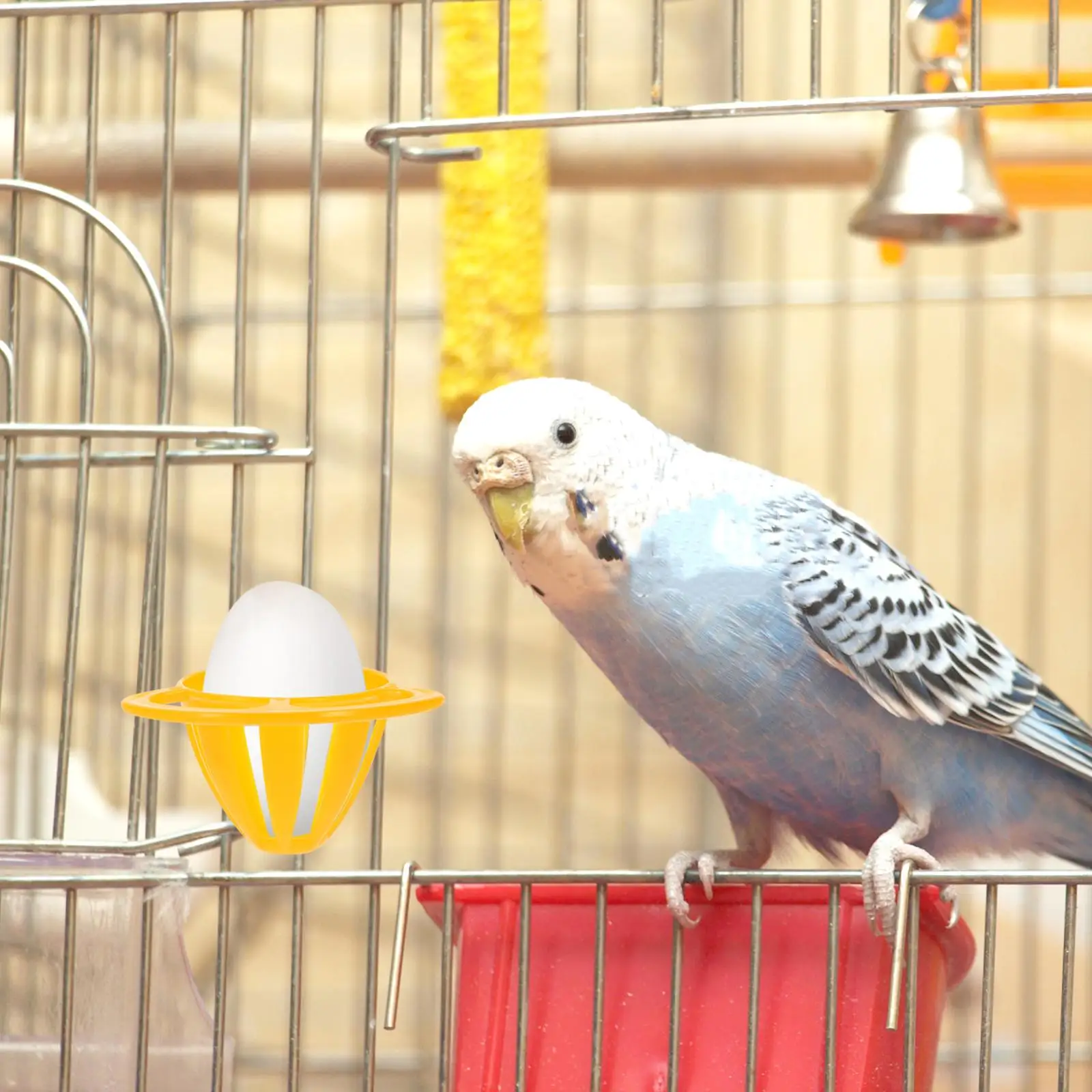 

5 Pcs Fruit Basket Bird Feeder Food Bowl Parrot Vegetable Cage Egg Feeding Holder Orange Hanging