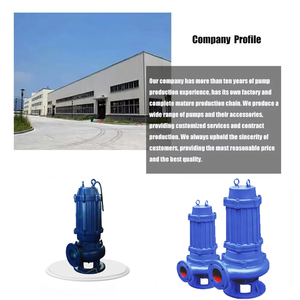 Pompa sommergibile durevole per acque reflue, capezzabile alle operazioni di movimentazione per un rimozione e dragaggio efficienti dei fanghi.