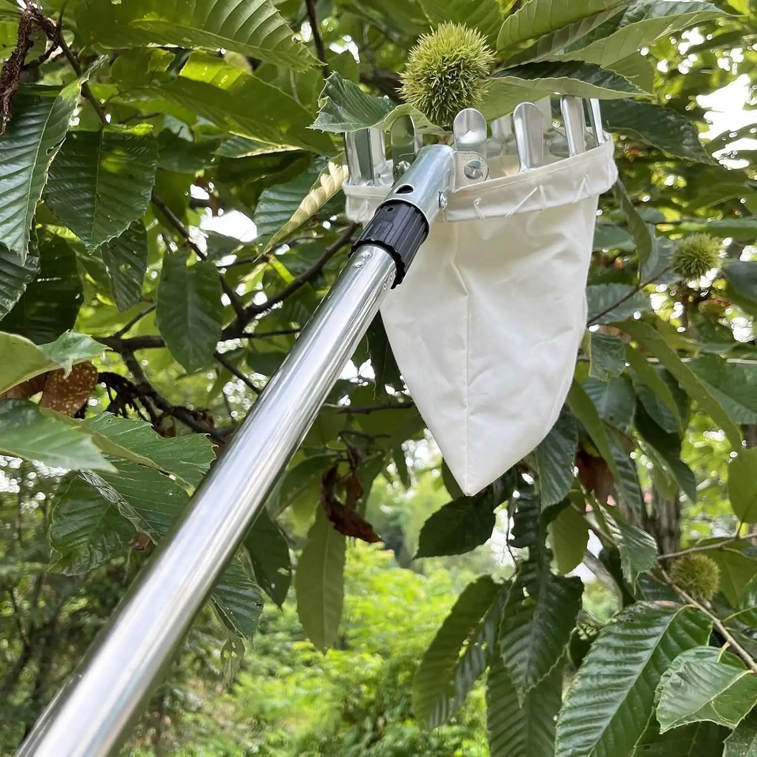 

Fruit Picker Pole With Basket Telescoping, 13.8FT Adjustable Fruits Picker Tool With Lightweight Stainless Steel Pole And Big Non Woven Basket Fruits Catcher Tree Picker For Apples Mango Lemon Orange