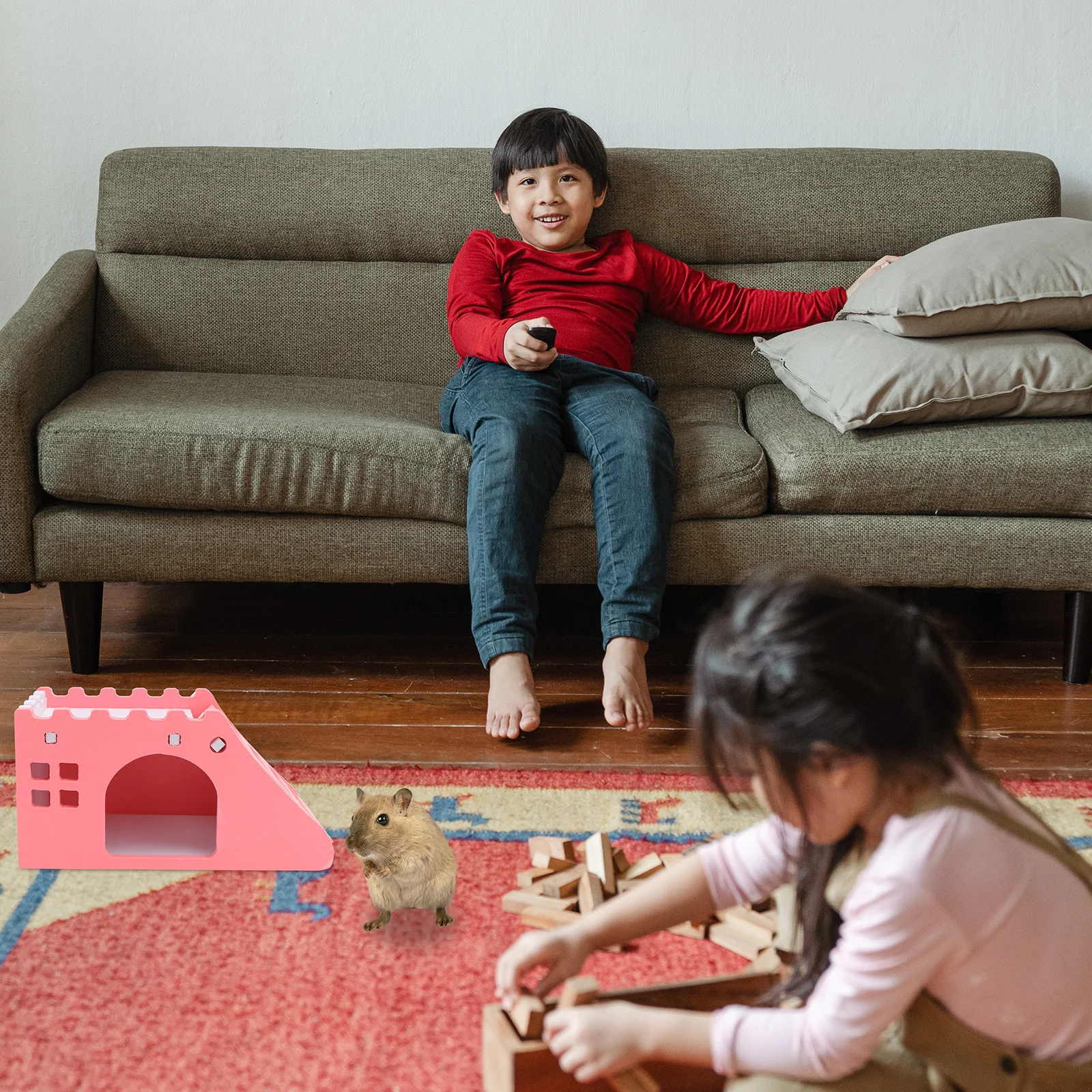 

Hamster Pet Playing Hamster Mice Hut