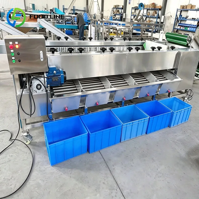Fruit Grading Machine Fruit Sorting Machine Vegetable Grader for Apple Pear Orange Tomato Customized
