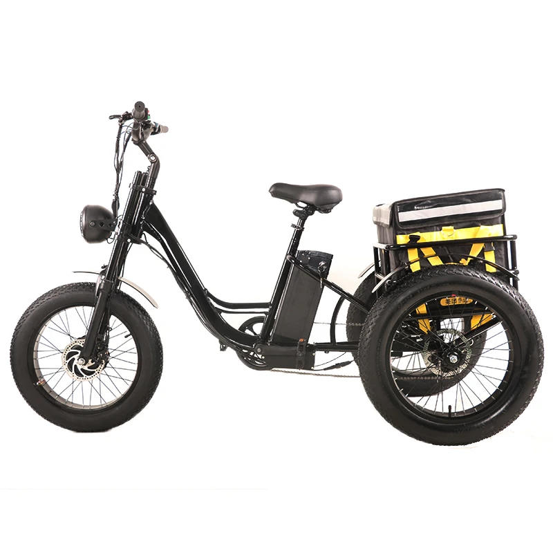 

24 inch fat tyre 800w high speed motor MTB snow electric tricycle