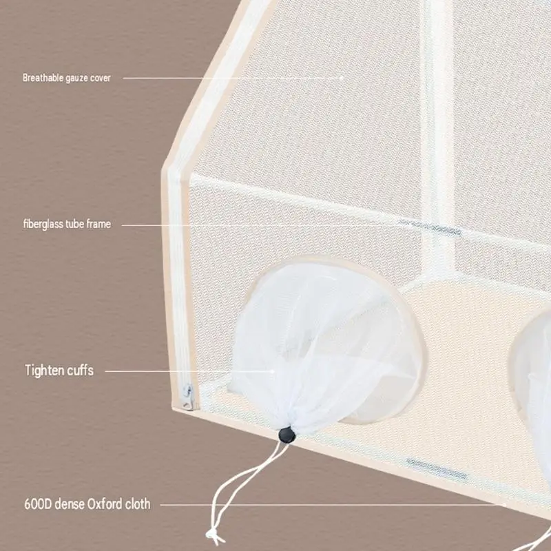 Insect Enclosure Box for Classroom Nature Study and Easy Observation 55KF