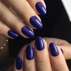 24 pezzi di gel UV artificiale stampa sulle unghie finte unghie finte corte blu navy lucide con strumento per manicure con colla gelatinosa