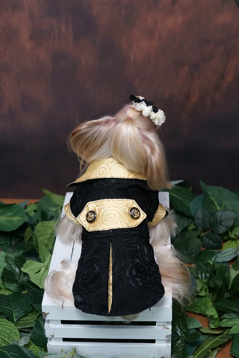 Handmade Dog Clothes Luxurious Pet Supplies Wedding Suit Jacket Twin Set With Shirt Black Gold Bow Tie Handsome Tuxedo Yorkie