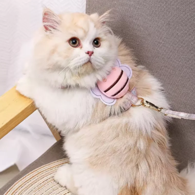 #29 Latest Dog Leads Offers