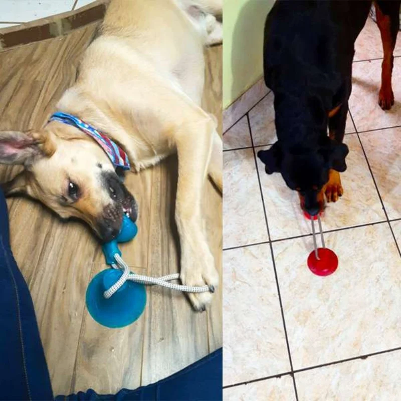 Durable Suction Cup Dog Tug Toy Interactive TPR Chew Ball Molar Teeth Cleaning Toy for Puppy Medium Dogs Aggressive Chewers view 4