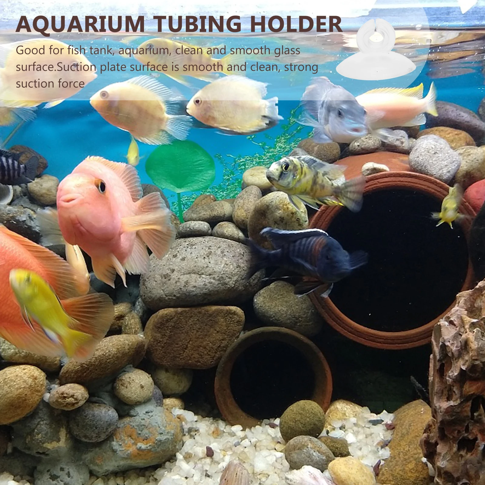 

25Pcs Aquarium Suction Cups with Release Clips for Hose Clamp Tubing Position Adjustment Fish Tank Accessories