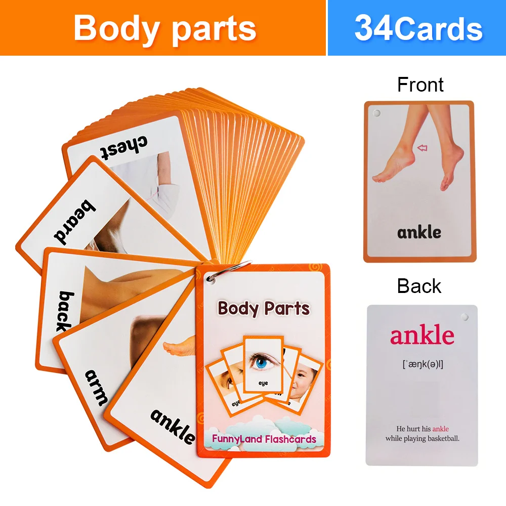 Body Parts English Learning Cards Homeschooling Classrooms Early Education Teaching & Speech Interactive Activity Flash Cards