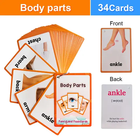 Body Parts English Learning Cards Homeschooling Classrooms Early Education Teaching & Speech Interactive Activity Flash Cards