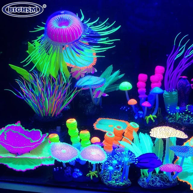 Fluorescent Aquarium Decor Fish Tank Landscaping Coral Simulation Coral Ornaments Small Underwater World Landscape Decor AliExpress