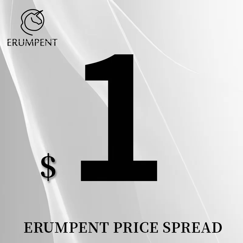 ERUMPENT After-sales Service and Repair Deposit Prepaid Gifts for Special Item Repair $1