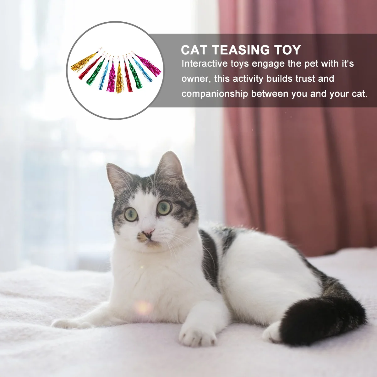 

10Pcs Replaceable Cat Teaser Refills Glitter Tassels Design Long Dangle Wand for Claw Free Play Kitten Bonding Tools