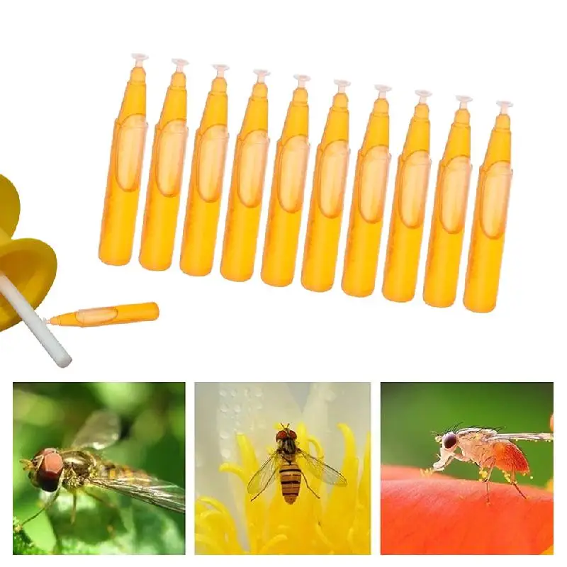 2ML Fruit Fly Attractant Liquid Fruit Fly Killer Drosophila Attractant For Gardens Backyards Greenhouses Nurseries 10Pcs