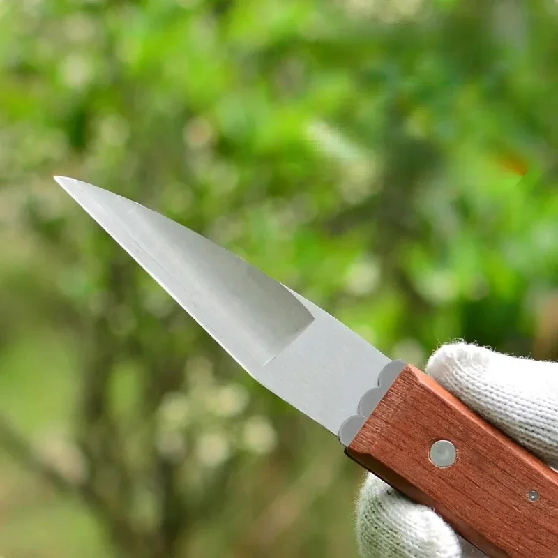 Folding Graft Knife Bud Graft Fruit Tree Knife Wooden Handle Integrated Stainless Steel Graft Knife