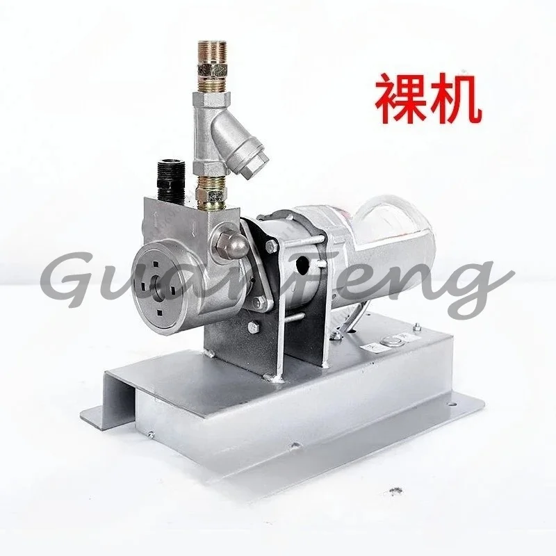 12V Liquefied Gas Air Pump Pour Pump 12 Volts