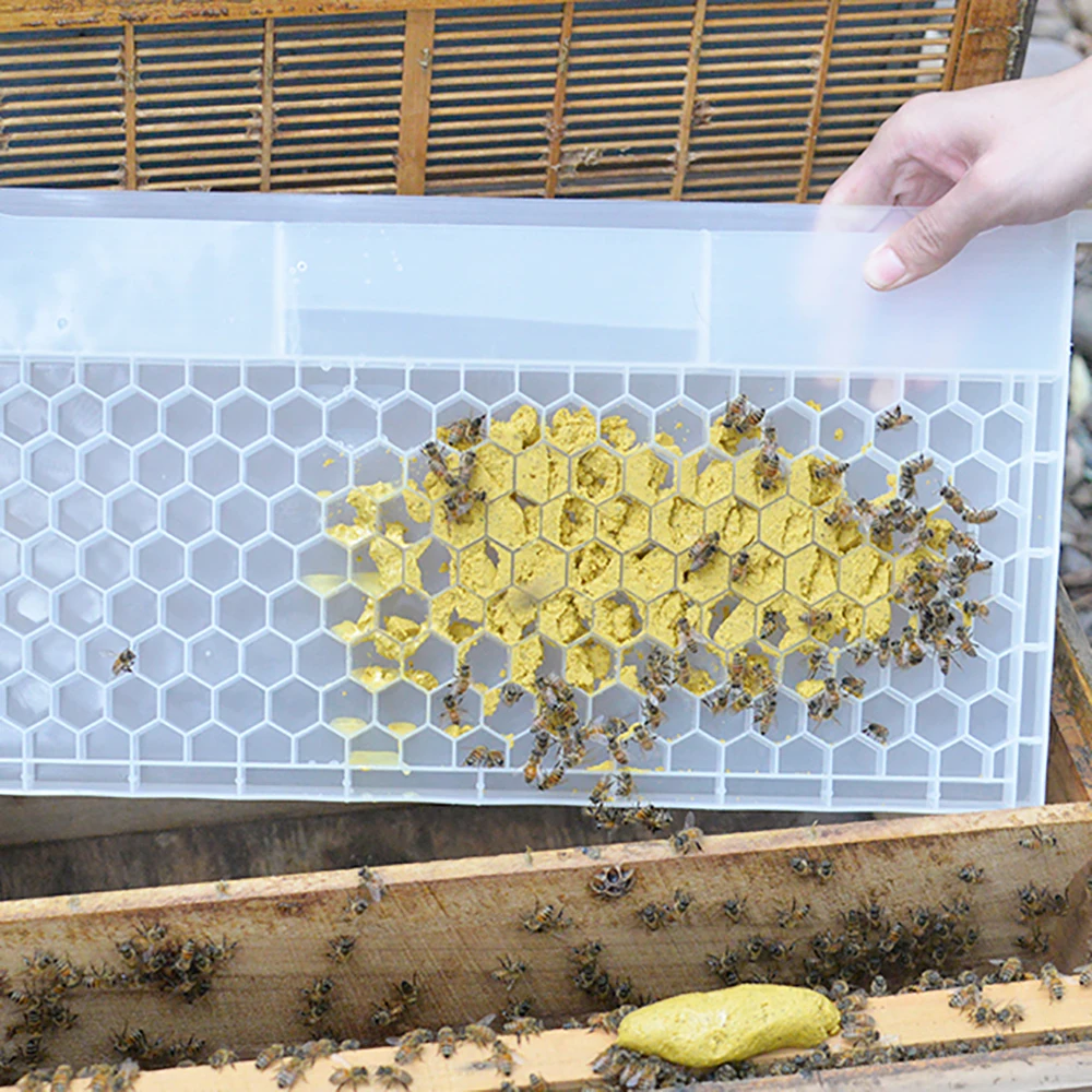 Multi-Function Honey Bee Frame Feeder Plastic Porous Pollen Bee Hive Put Langstroth Deep Beehive Beekeeping Equipment Supplies