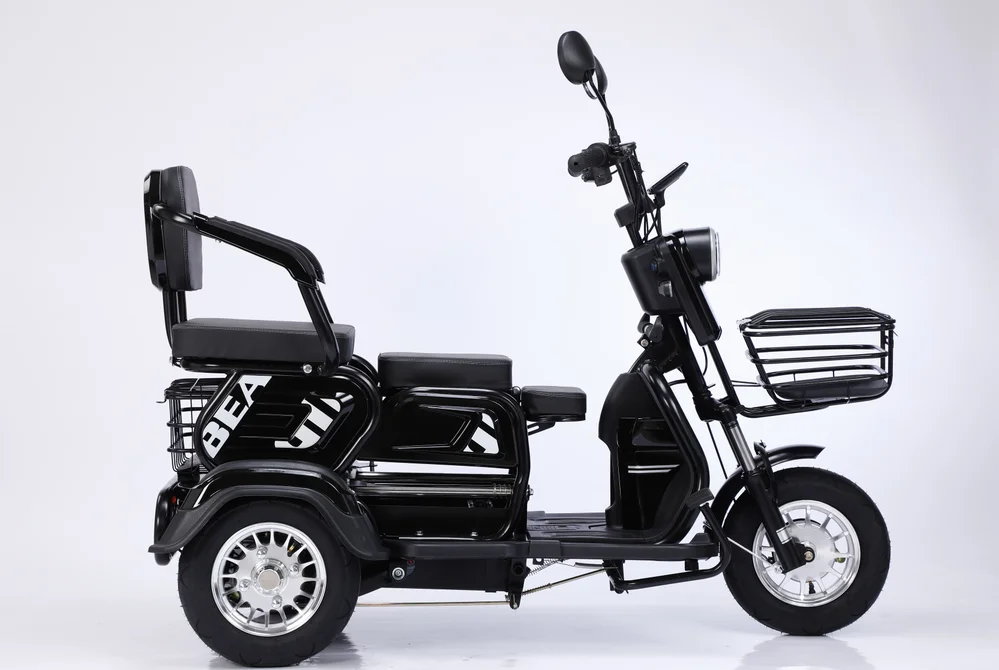 Mini Electric 3-Wheel Steel Tricycle Motorcycle 1000W Power 60V 1000W Motor Power Open Passenger Seats Options