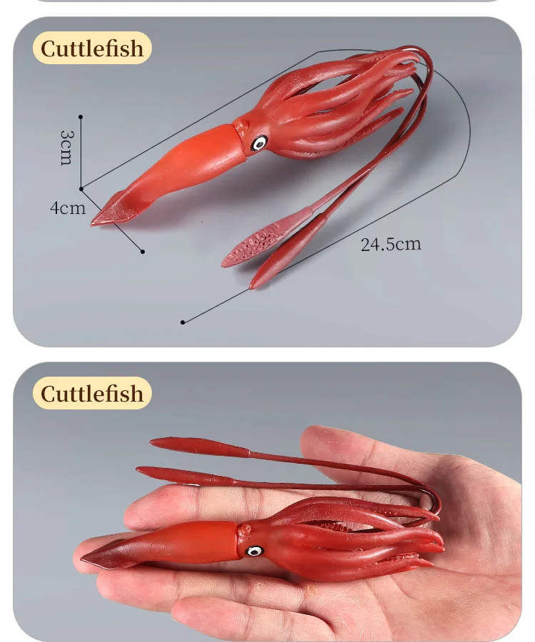 Pädagogische Marine Molluscs ModelToys – Simulation Tintenfisch Oktopus Wachstumszyklus Actionfigur für Kinder Sealife Animal Collection – Detail 10