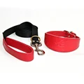 1pc Collar x Leash