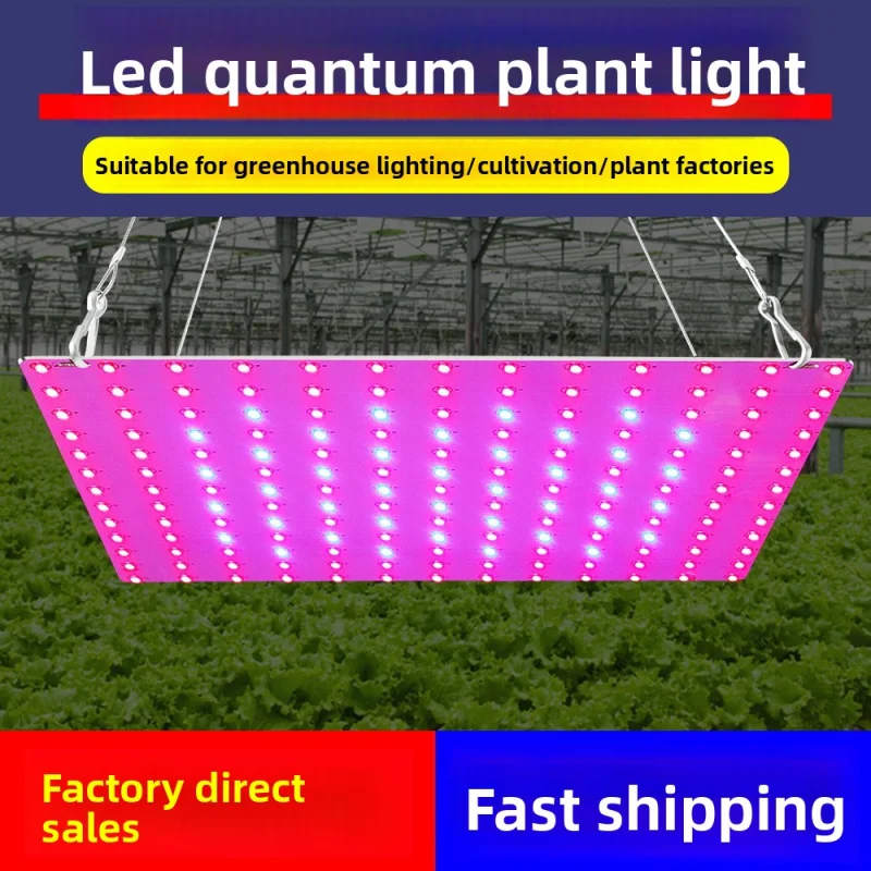 

Quantum LED Plant Growth Lamp High-efficiency Aluminum Base Plate Heat Dissipation Cross-border Hot Selling Outdoor Greenhouse S