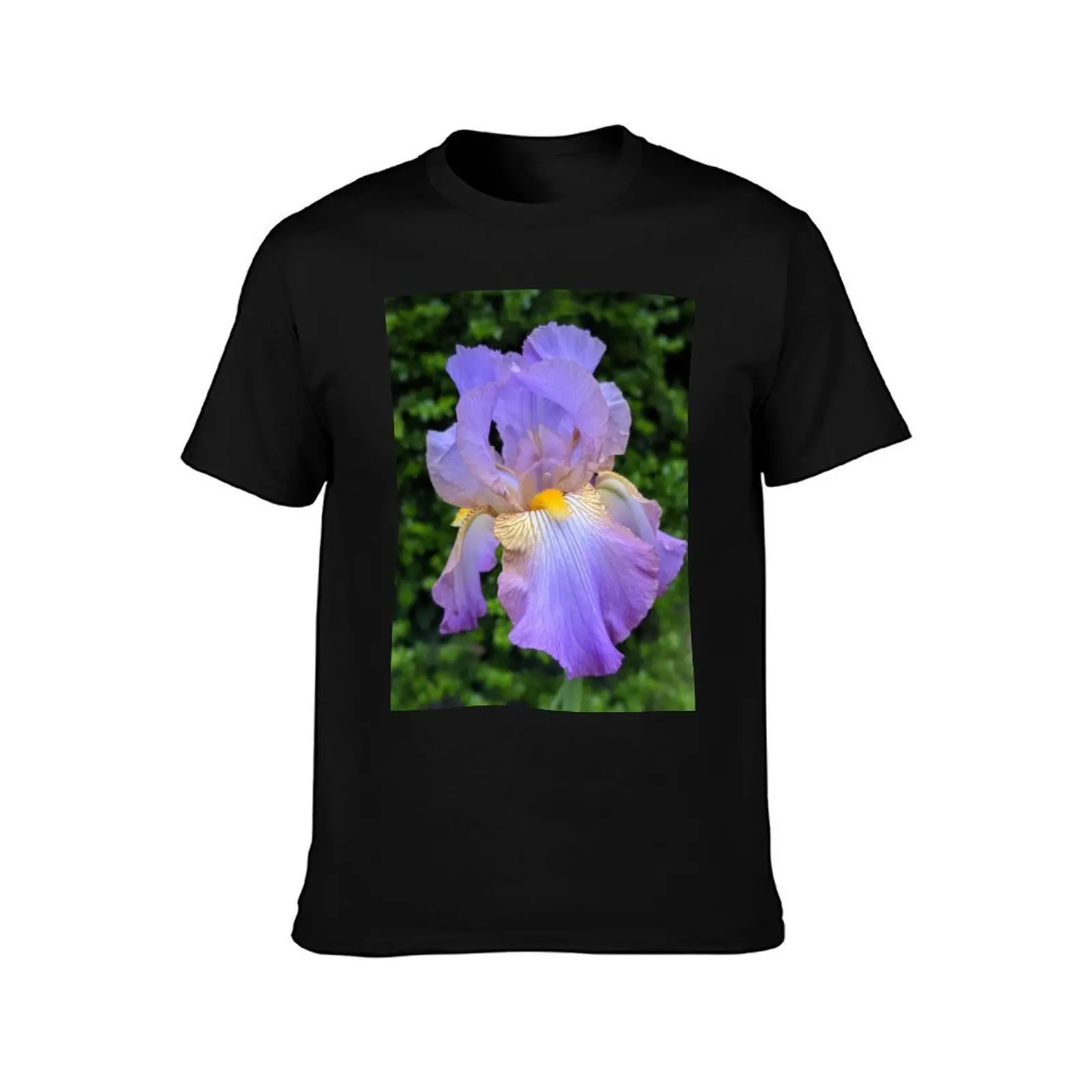 Purple Iris Photographic Image T-Shirt, Summer Casual Cotton Tee, Oversized Streetwear Tops, Vintage Graphic Print, 100% Cotton