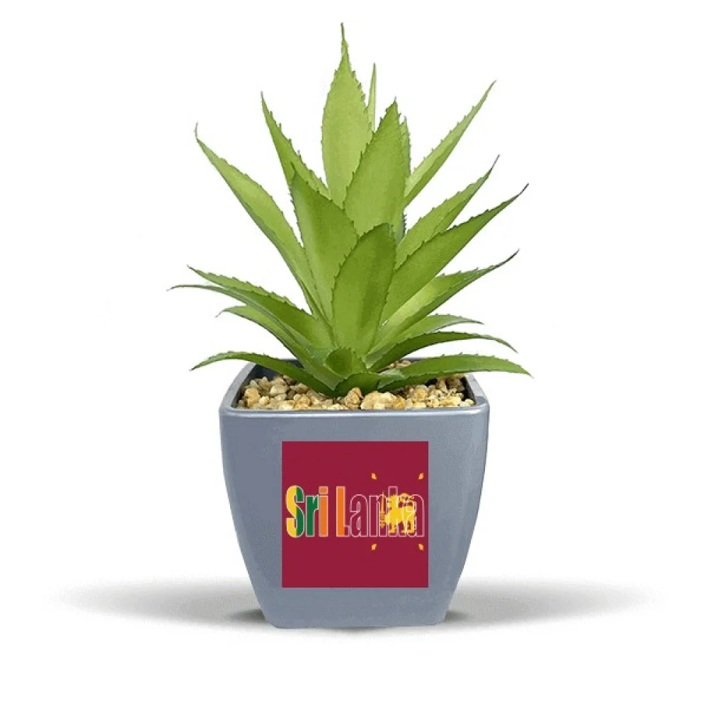 Srilanka Country Flag Name Fake Pineapple Flower Pot Vase Mini Decor