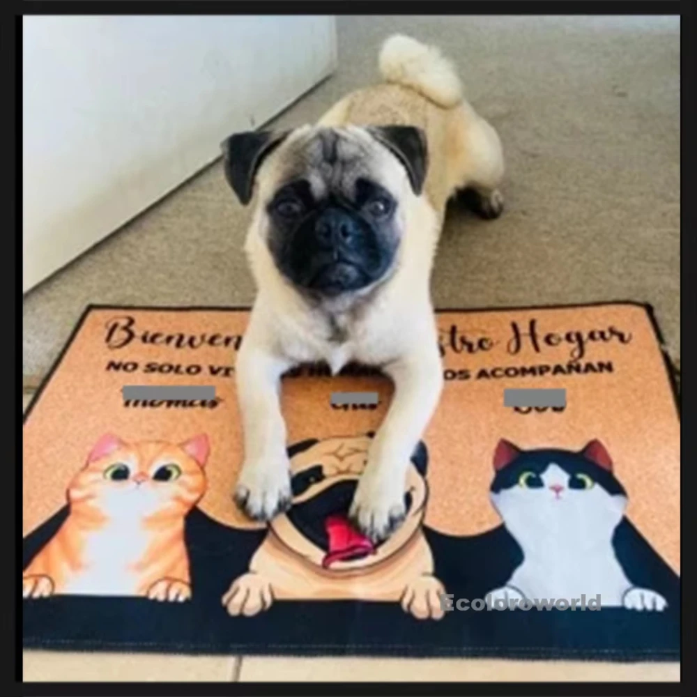 VIKAMA Personalized Pet Cat & Dog Welcome Doormat, Custom Name Entry Rug for Cat & Dog Lovers, Non-Slip Absorbent