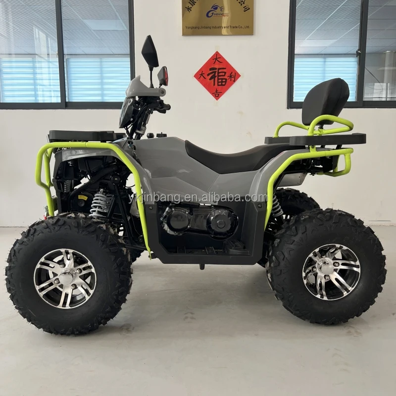 

Adult 200cc ATV Quad Bike with Automatic Chain Drive Transmission CE Approved