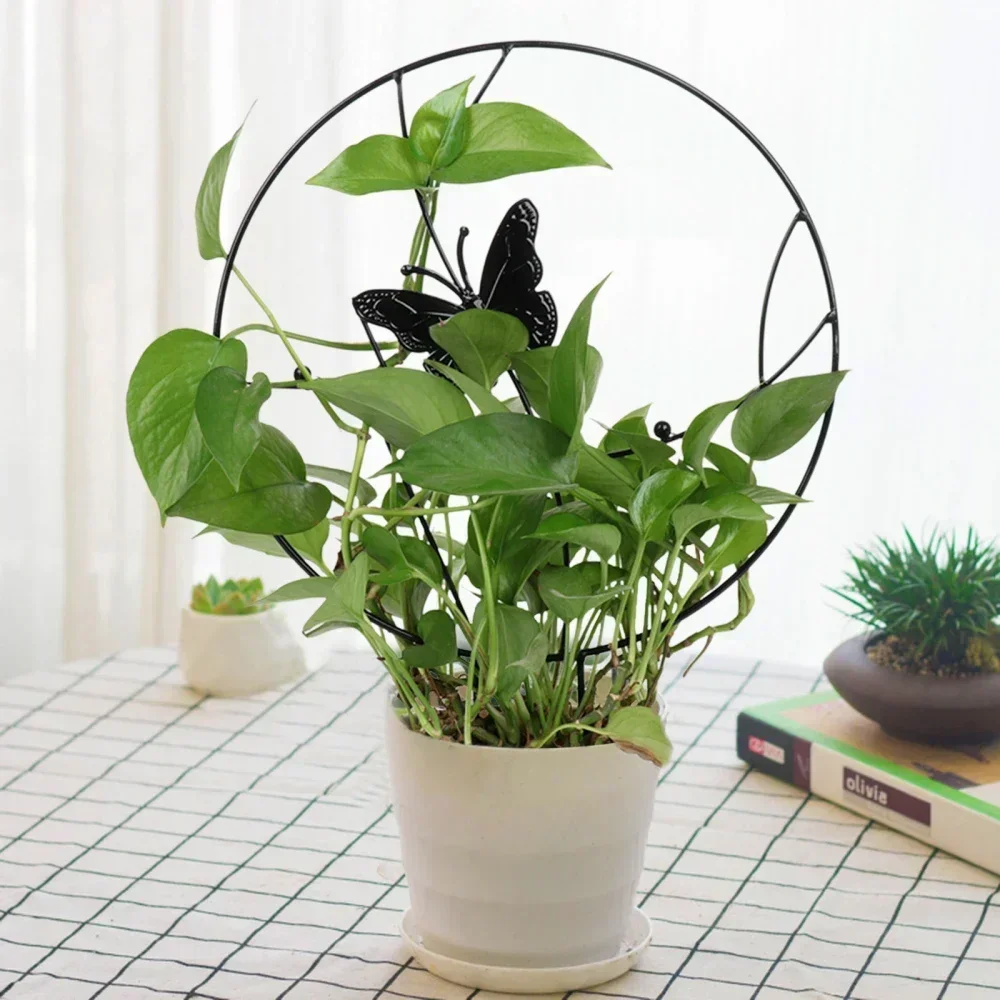 Single Butterfly Shaped Iron Garden Plant Trellis (30*42cm), Rustproof, Load-Bearing, for Indoor/Outdoor Climbing Plants