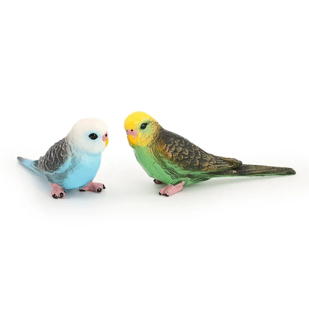 Figurines d'action d'animaux sauvages pour enfants, jouets de simulation d'oiseaux mignons, peau de tigre en plastique, modèle de perroquet, ornement de collection l'inventaire