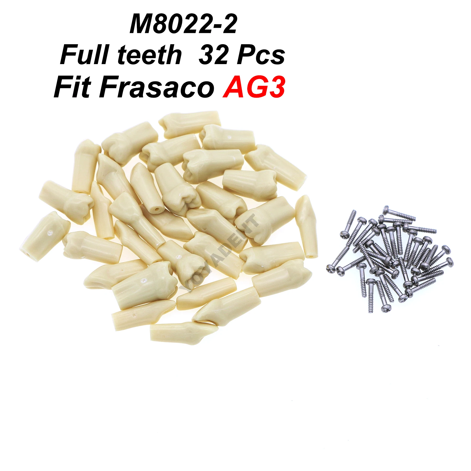 Fit Frasaco AG3 Typodont Tandheelkundige Tanden Model Volledige tanden 32 Stuks Schroef-in Praktijk Vullen Zachte Gom Gingivae tanden Training Teach