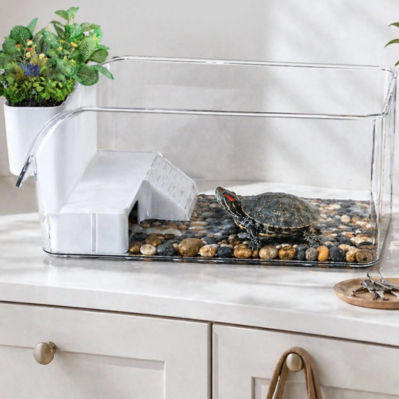 

Turtle Basking Enclosure Scenic Layout Small Amphibian Enclosure Pet Enclosure High Clarity for Home