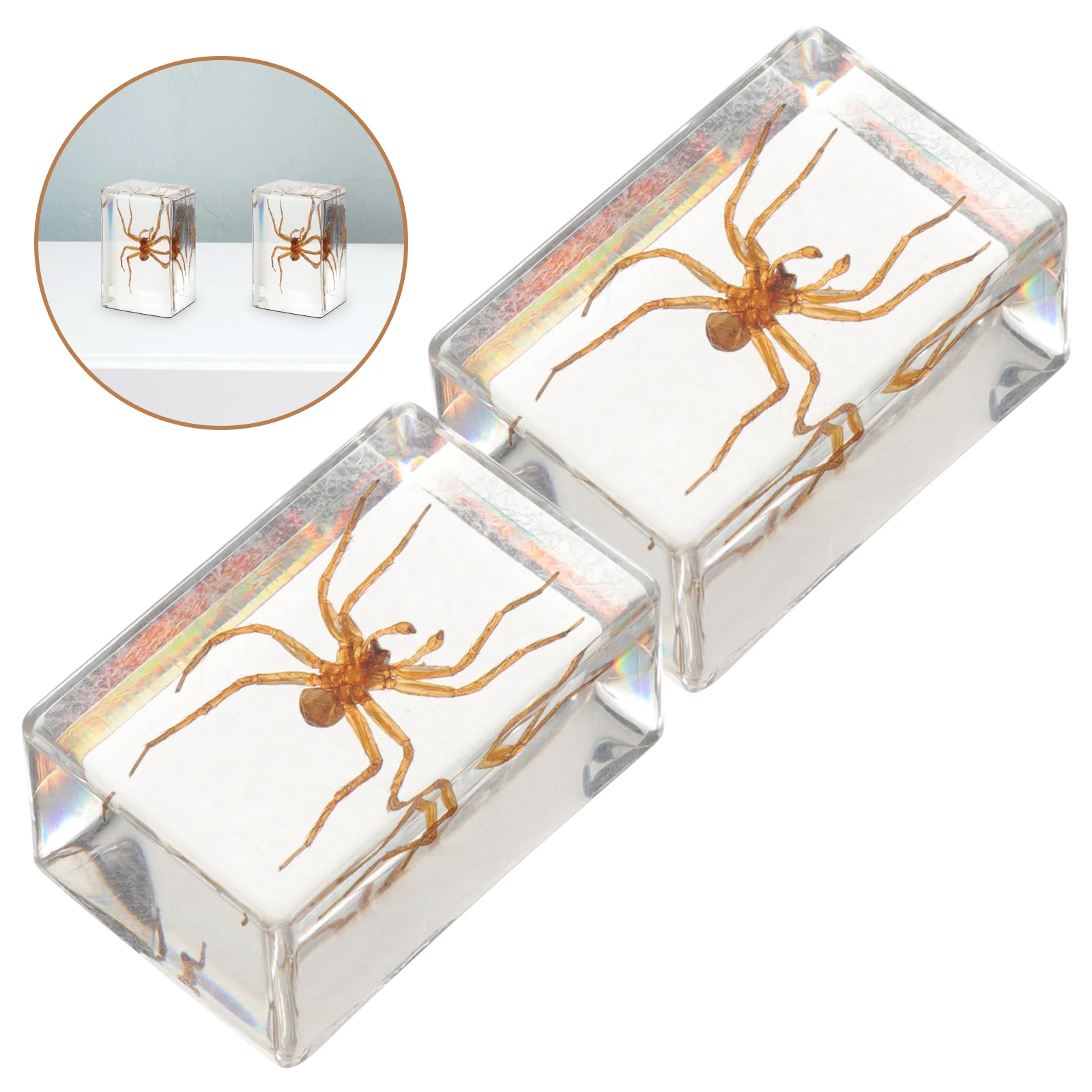 2 Pcs Handmade Glue Resin Insect Bookstore Insects for Desktop Specimen Decor Delicate Small Table Ornament Travel