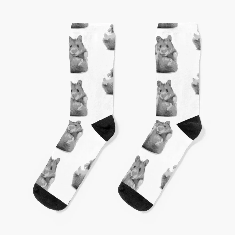 Hamster Socks winter thermal football designer brand Children's Mens Socks Women's