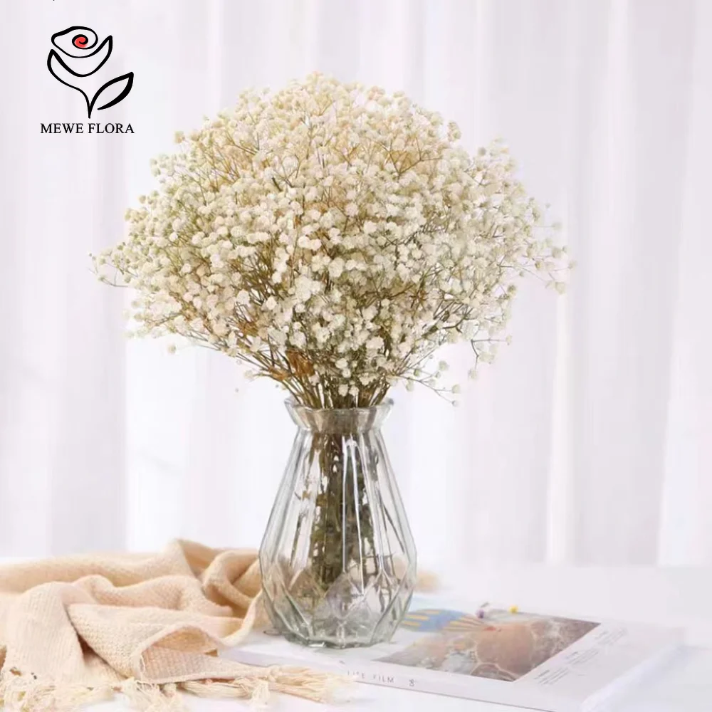 

Natural Fresh Dried Flowers Preserved Gypsophila Bouquet Valentine's Day Gift Eternal Baby Breath Boho Wedding Home Decoration