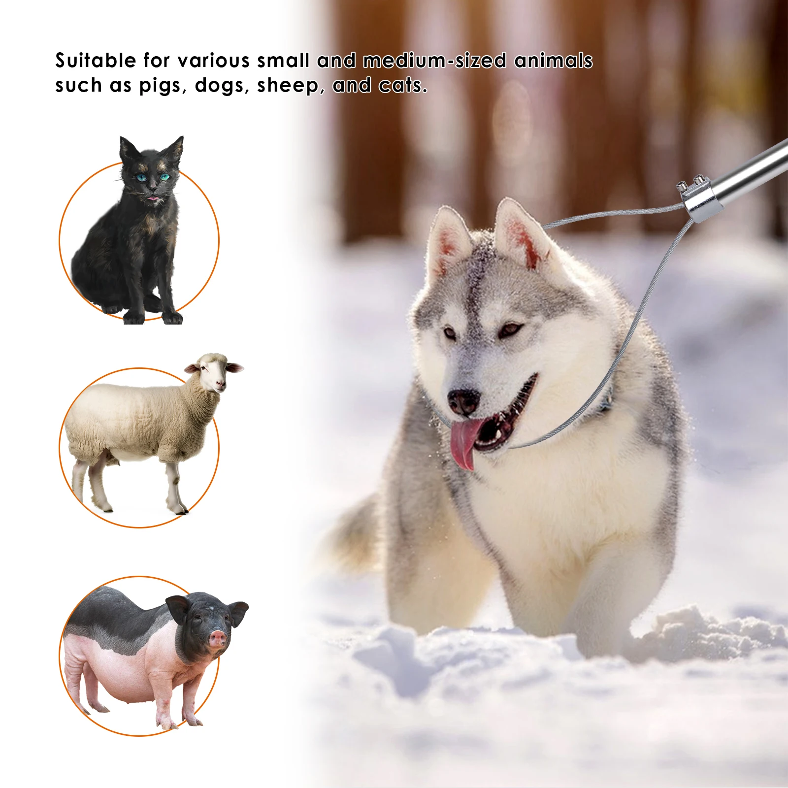 Imagem -06 - Animal Catcher Pole Animal Catch Catcher Espessura Wire Rope Eficiente Stretchable Handle Fácil de Usar 33 Aço Inoxidável