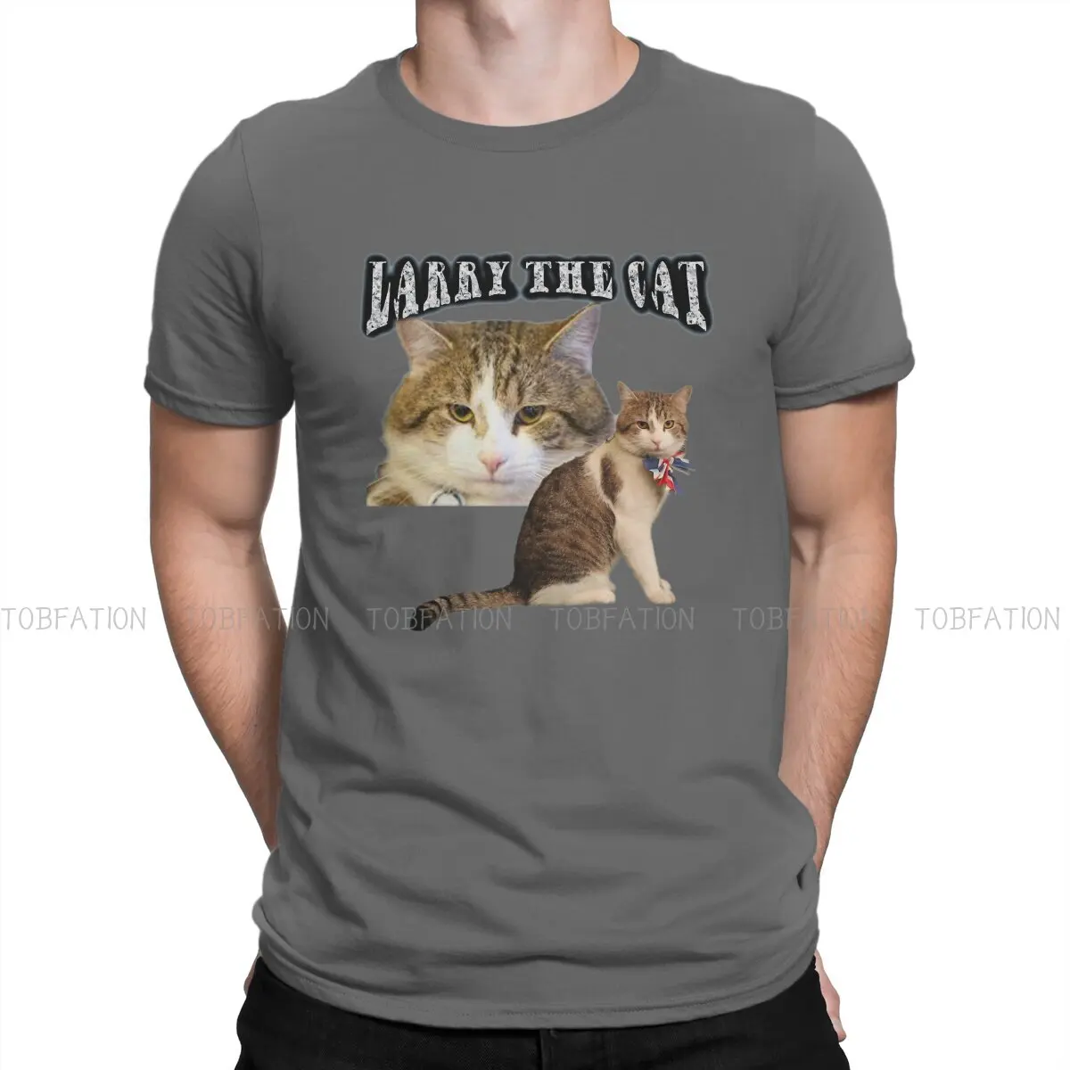 The Cat Rap  Unique TShirt Larry Everybody Loved Them Chief Mousecatcher Top Quality New Design Gift Clothes  T Shirt