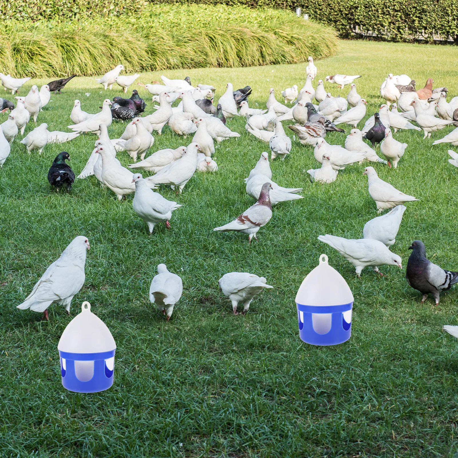 

1pc Pigeon Water Bird Self Drinker Large Capacity Plastic Cage Accessory For Parrots Doves Pigeon Water Drinker Pet Supplies