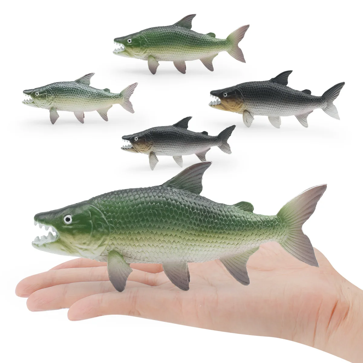 Mini Giant Dog Lipfish African Piranha Marine Life Model Dollhouse Scene Simulated Decorative Ornament Decoration Desktop Decor