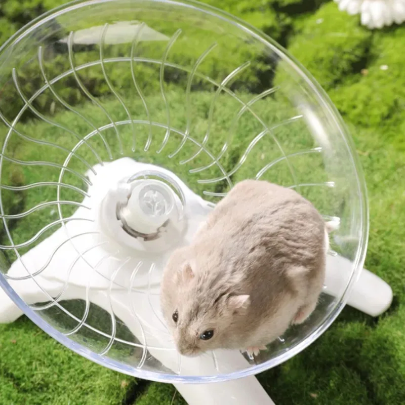 Thumbnail 2 - #2 Compare Hamster Exercise Wheels Before You Buy