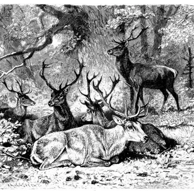 

Aluminum Shell Body Mount for Tamiya TT02 TT-02D Chassis Upgrades 1/10 RC Accessories