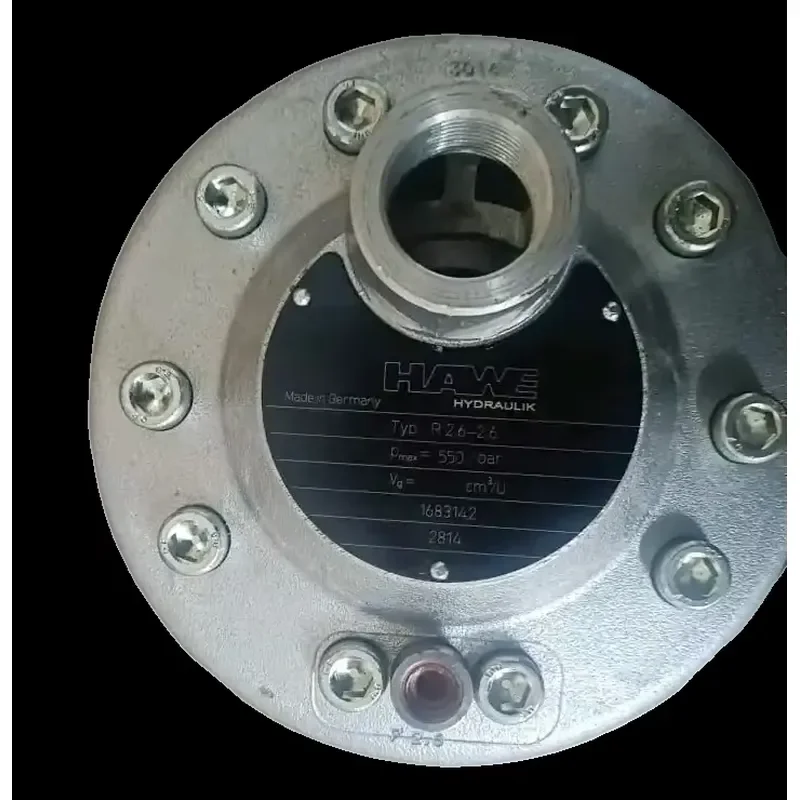 HAWE Radial Piston Pump R2.6-2.6 600bar Hydraulic Pump High Pressure Oil Immersed Pump Compact Hydraulic Power Unit Hawe R