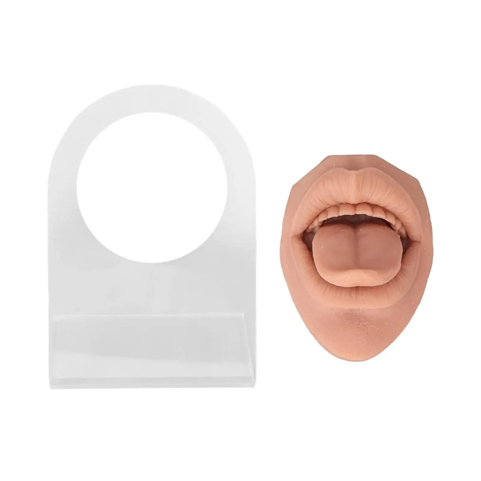 Modèle d'affichage de bouche de langue en silicone 3D, simulation, flexible, doux, fuchsia, outil d'éducation, pratique du piercing