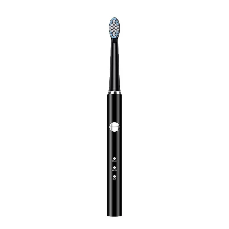 Electric toothbrush USB rechargeable hollow cup motor with sonic automatic motor