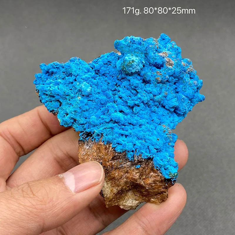 

100% natural Congo blue Shattuckite ore specimen healing crystal collection.