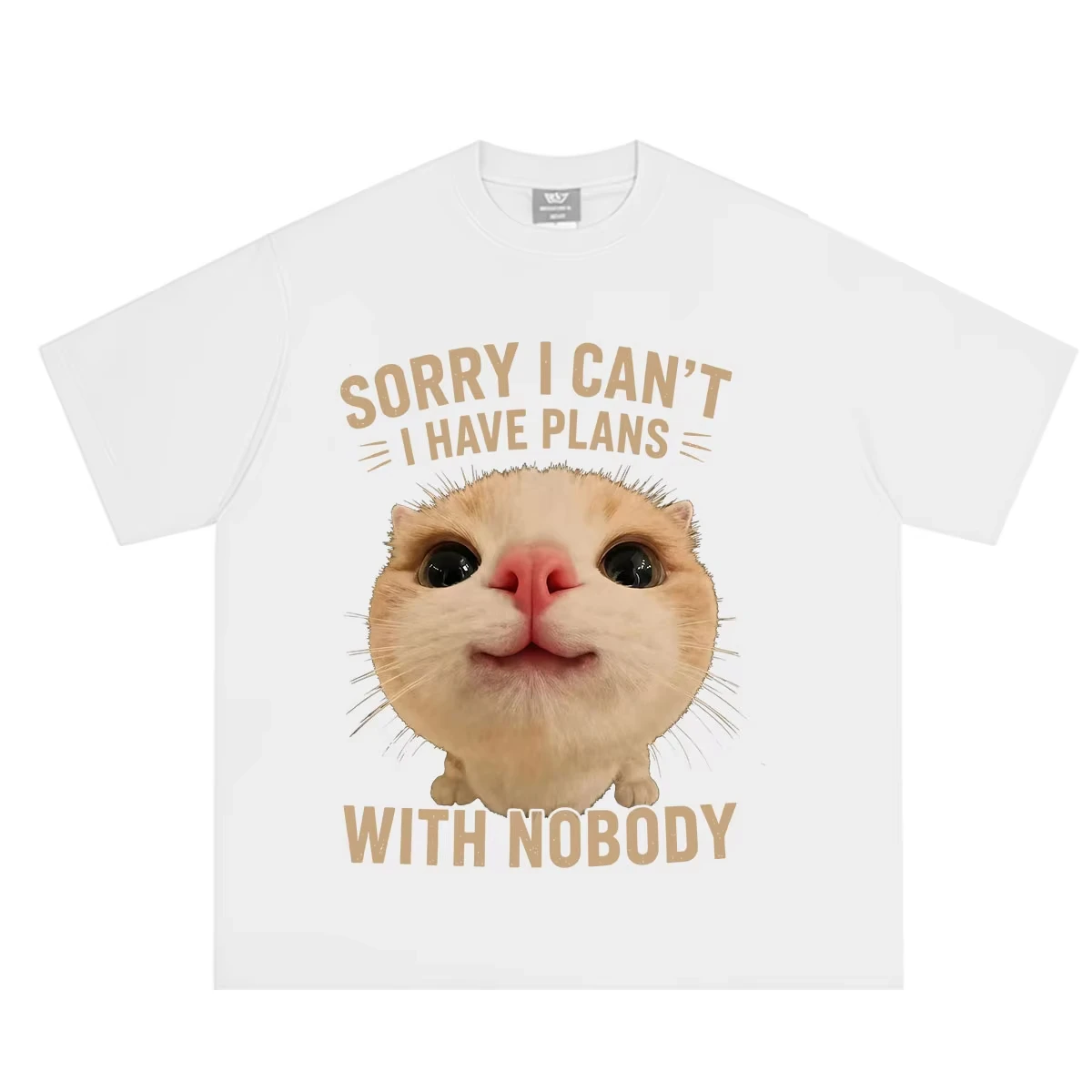 Sorry I Can’t I Have Plans with Nobody Funny Cat Meme T Shirt Men Women Fashion Clothing T-shirt Summer Casual Cotton T-shirts
